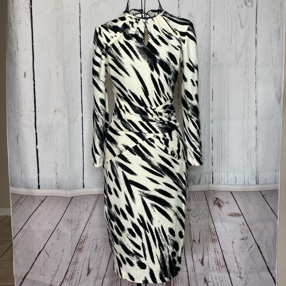 Cache Zebra Dress - Picture 1 of 10